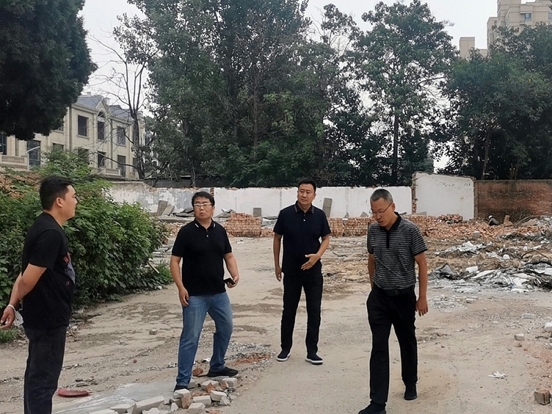 尊龙凯时公司人员考察莱发项目现场